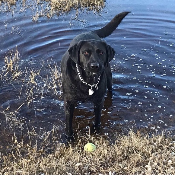 Meet your Posher, Amanda - Picture 1 of 1